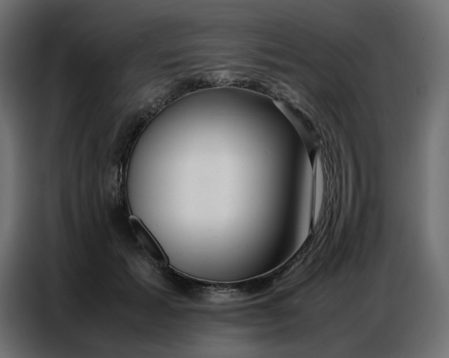 X0000086740605200705041409