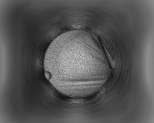 X0000086740606200705041409