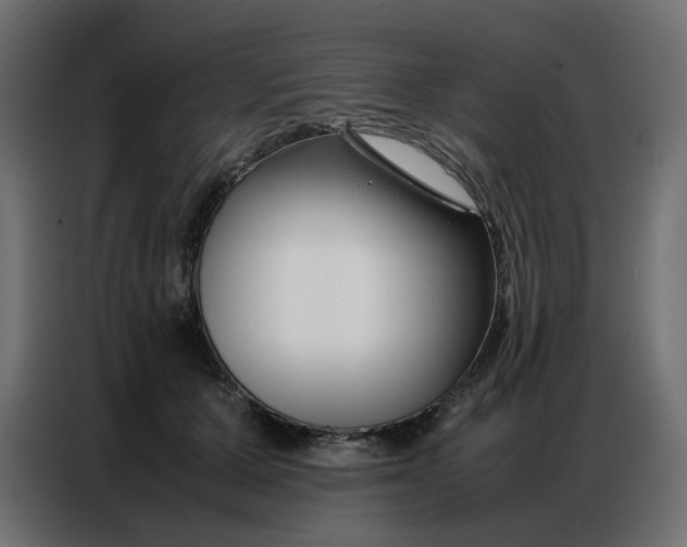 X0000086740607200705041409