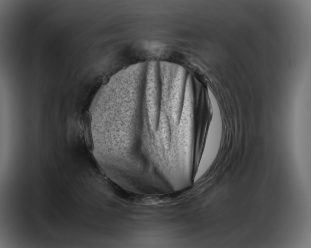 X0000086740613200705041409