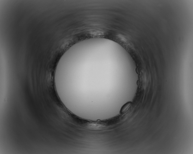 X0000086740614200705041409