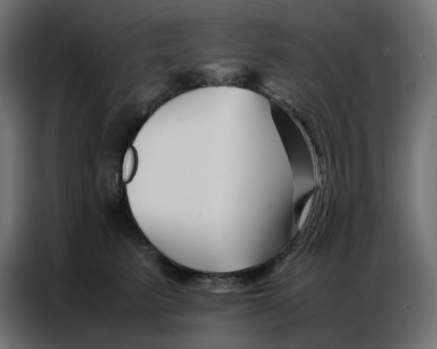 X0000086740615200705041409