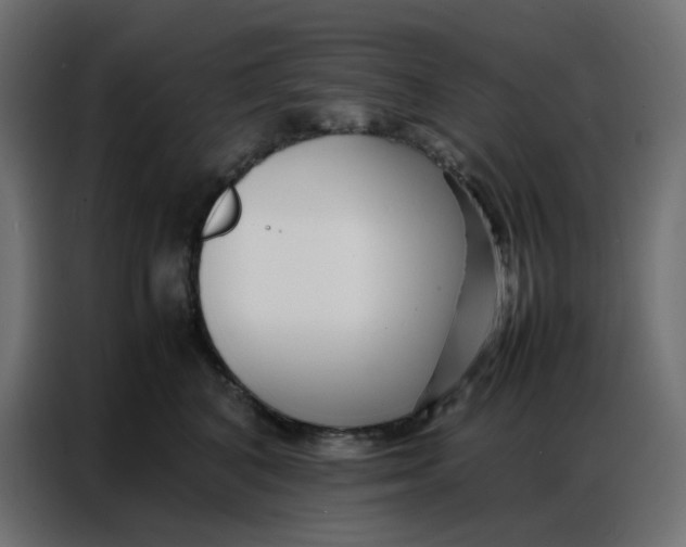 X0000086740616200705041409