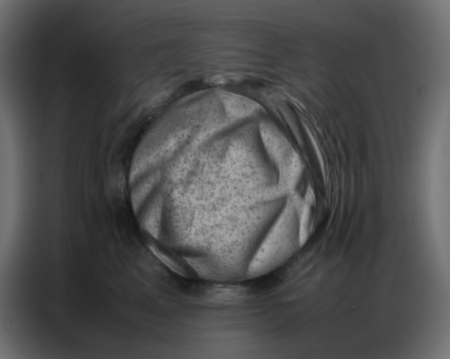 X0000086740617200705041409