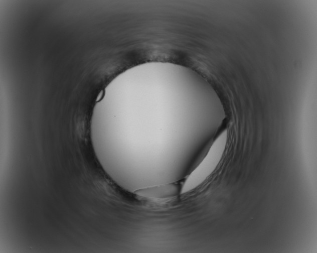 X0000086740619200705041409