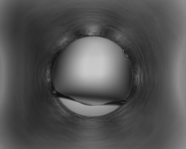 X0000086740620200705041409