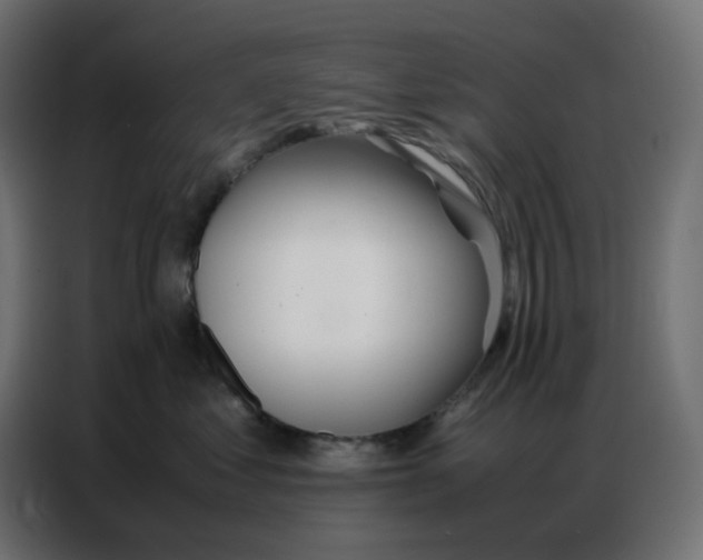 X0000086740621200705041409