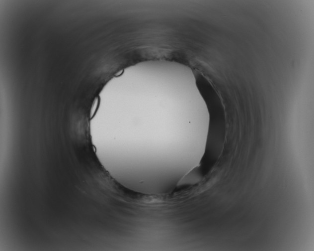 X0000086740624200705041409