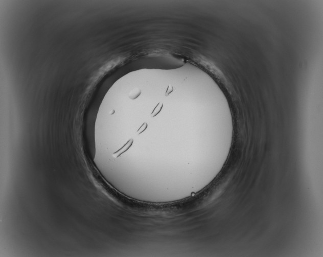 X0000086740625200705041408