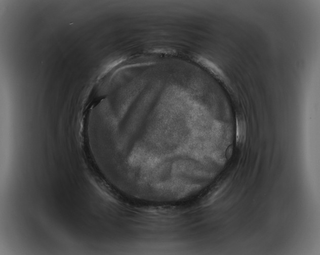 X0000086740627200705041408