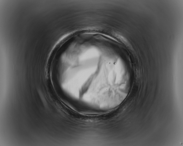 X0000086740628200705041408