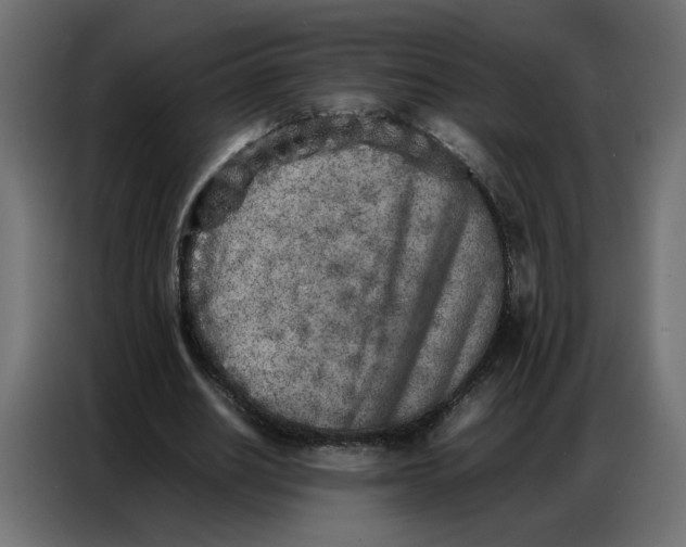 X0000086740630200705041408