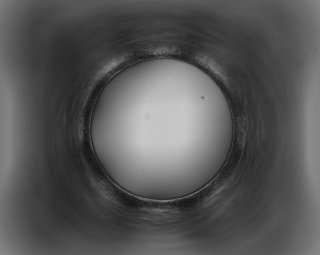 X0000086740631200705041408