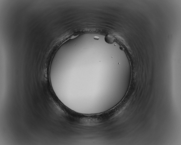 X0000086740633200705041408