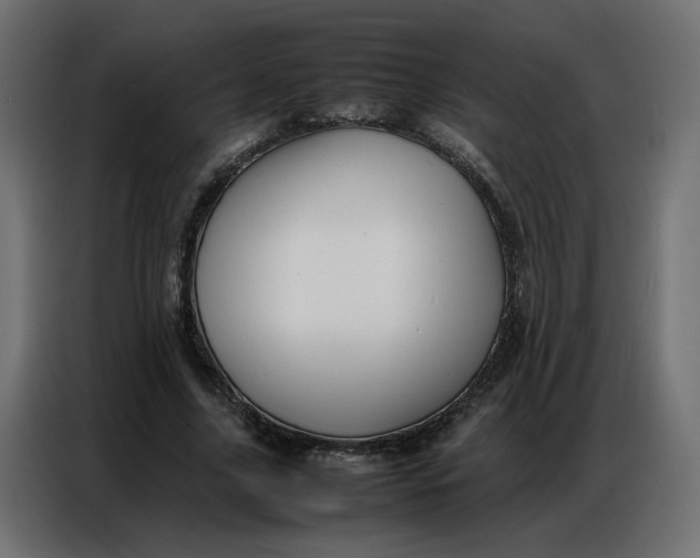 X0000086740635200705041408