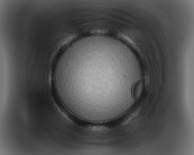 X0000086740637200705041408