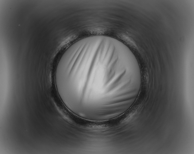 X0000086740638200705041408