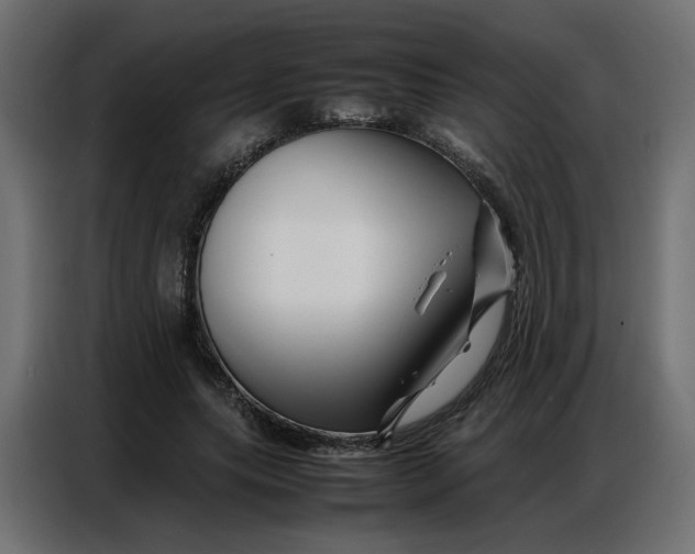 X0000086740639200705041408