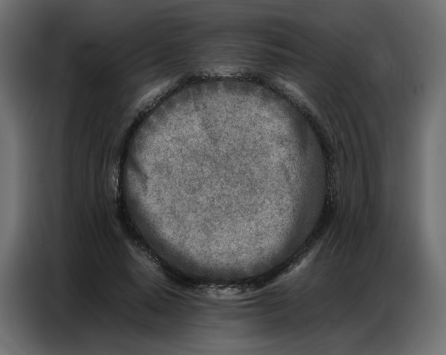 X0000086740640200705041408