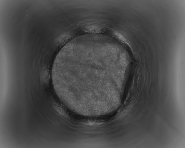 X0000086740641200705041408