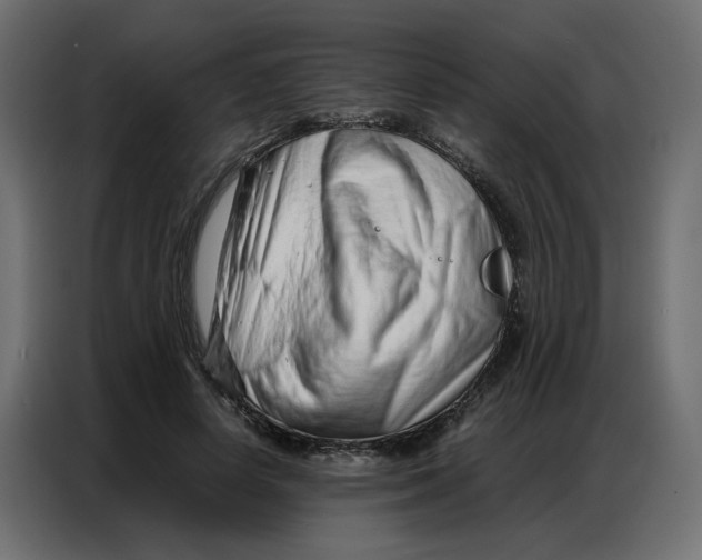 X0000086740642200705041408