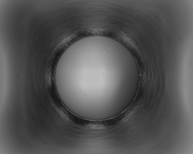 X0000086740644200705041408