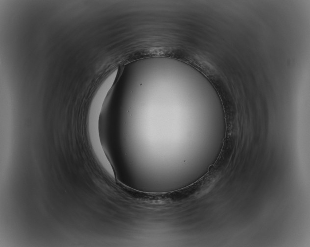 X0000086740646200705041408