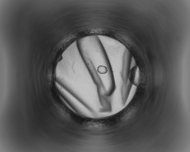 X0000086740648200705041408