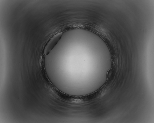 X0000086740649200705041408