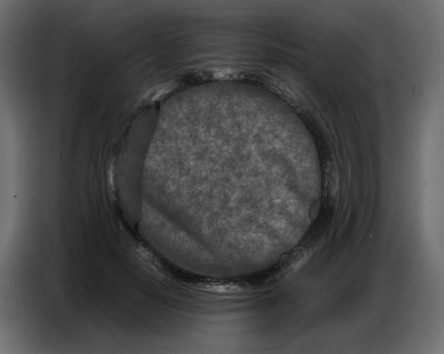 X0000086740650200705041408