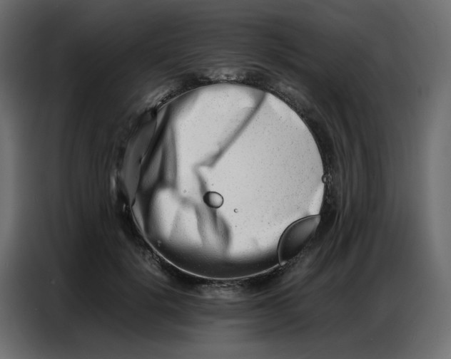 X0000086740652200705041408