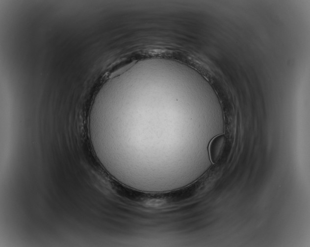 X0000086740653200705041408