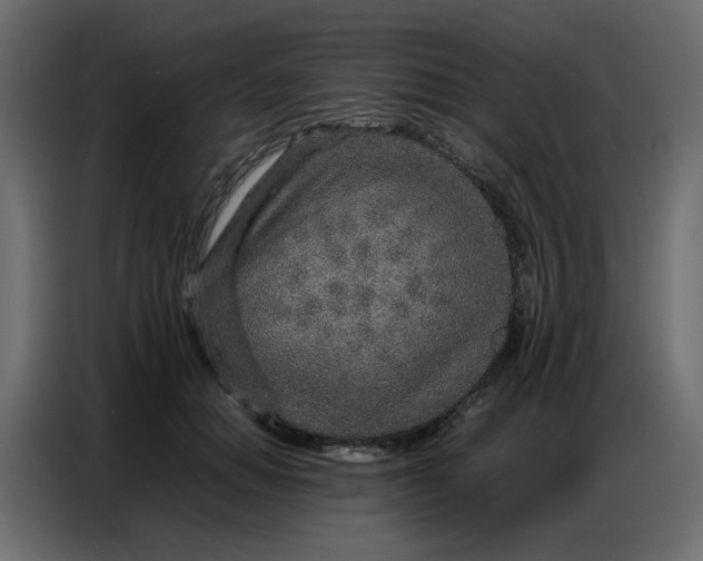 X0000086740654200705041408