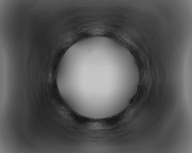 X0000086740655200705041408