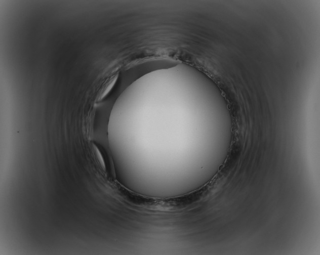 X0000086740656200705041408