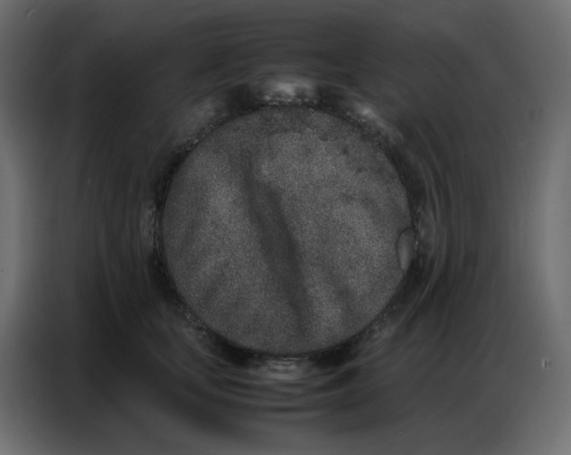 X0000086740659200705041408