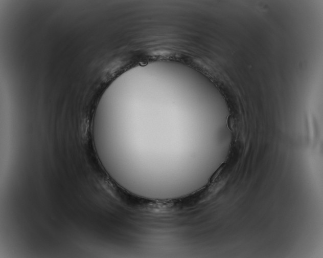 X0000086740660200705041408