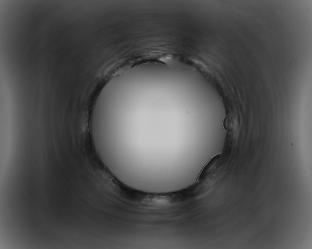 X0000086740665200705041408