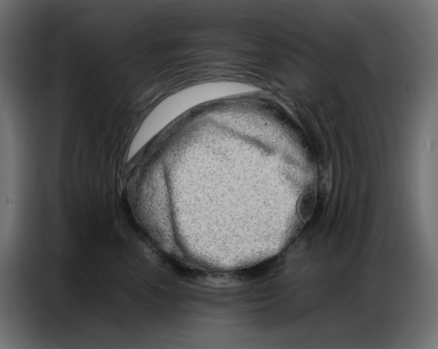 X0000086740666200705041408