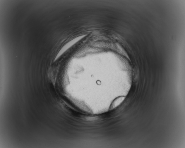 X0000086740669200705041409