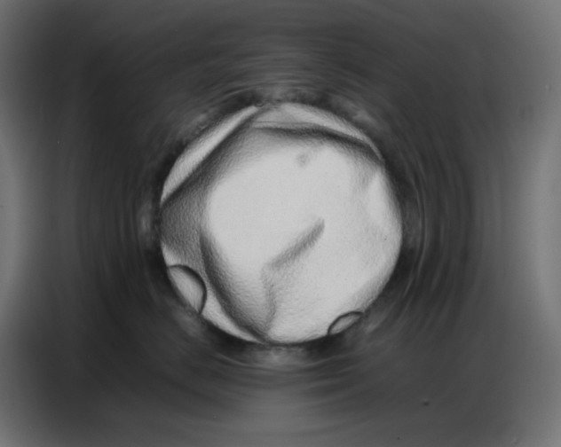 X0000086740670200705041409