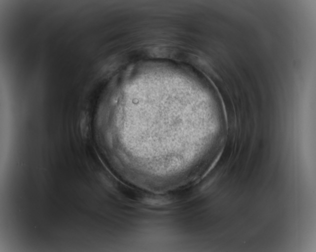 X0000086740671200705041409