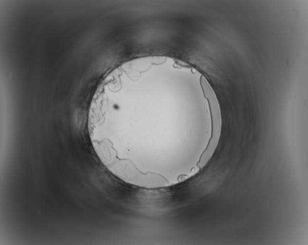 X0000086740672200705041409