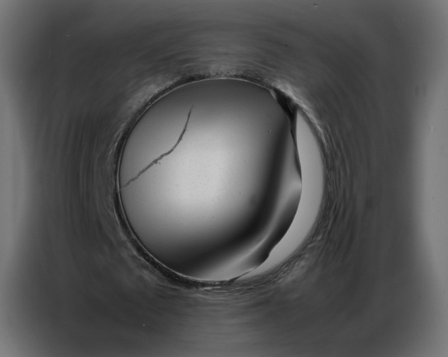 X0000086740673200705041408