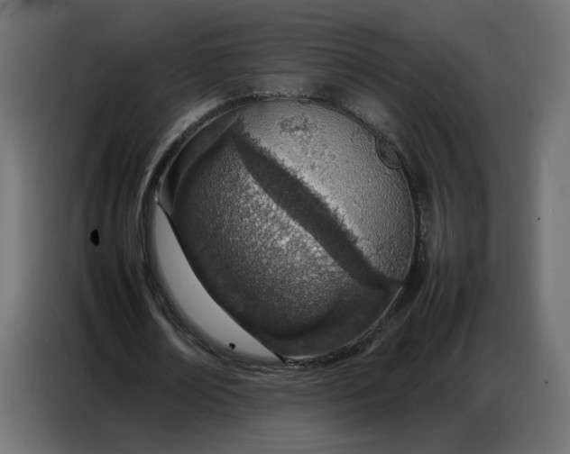 X0000086740674200705041408