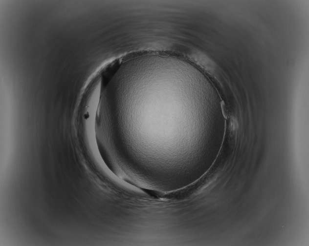 X0000086740676200705041408