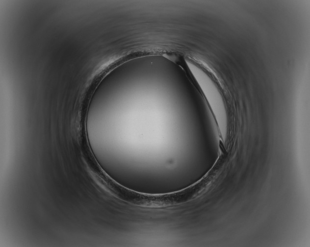 X0000086740677200705041408