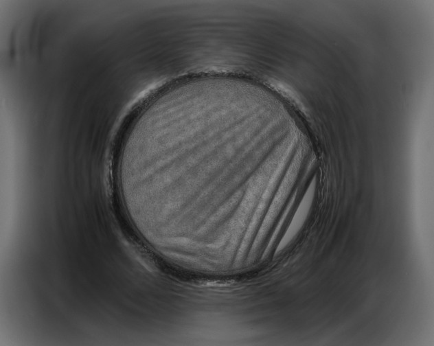 X0000086740680200705041408