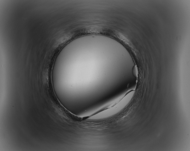 X0000086740681200705041408