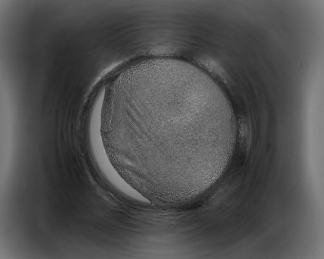 X0000086740684200705041408